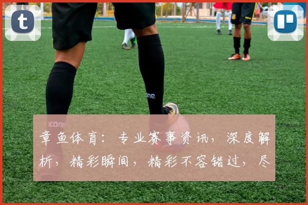 章鱼体育：专业赛事资讯，深度解析，精彩瞬间，精彩不容错过，尽在章鱼体育
