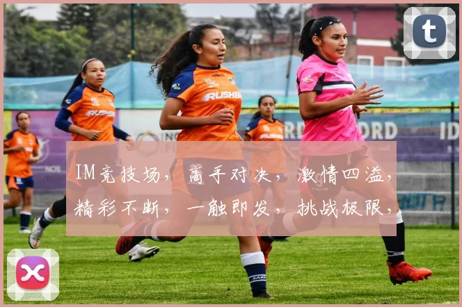 IM竞技场，高手对决，激情四溢，精彩不断，一触即发，挑战极限，不容错过